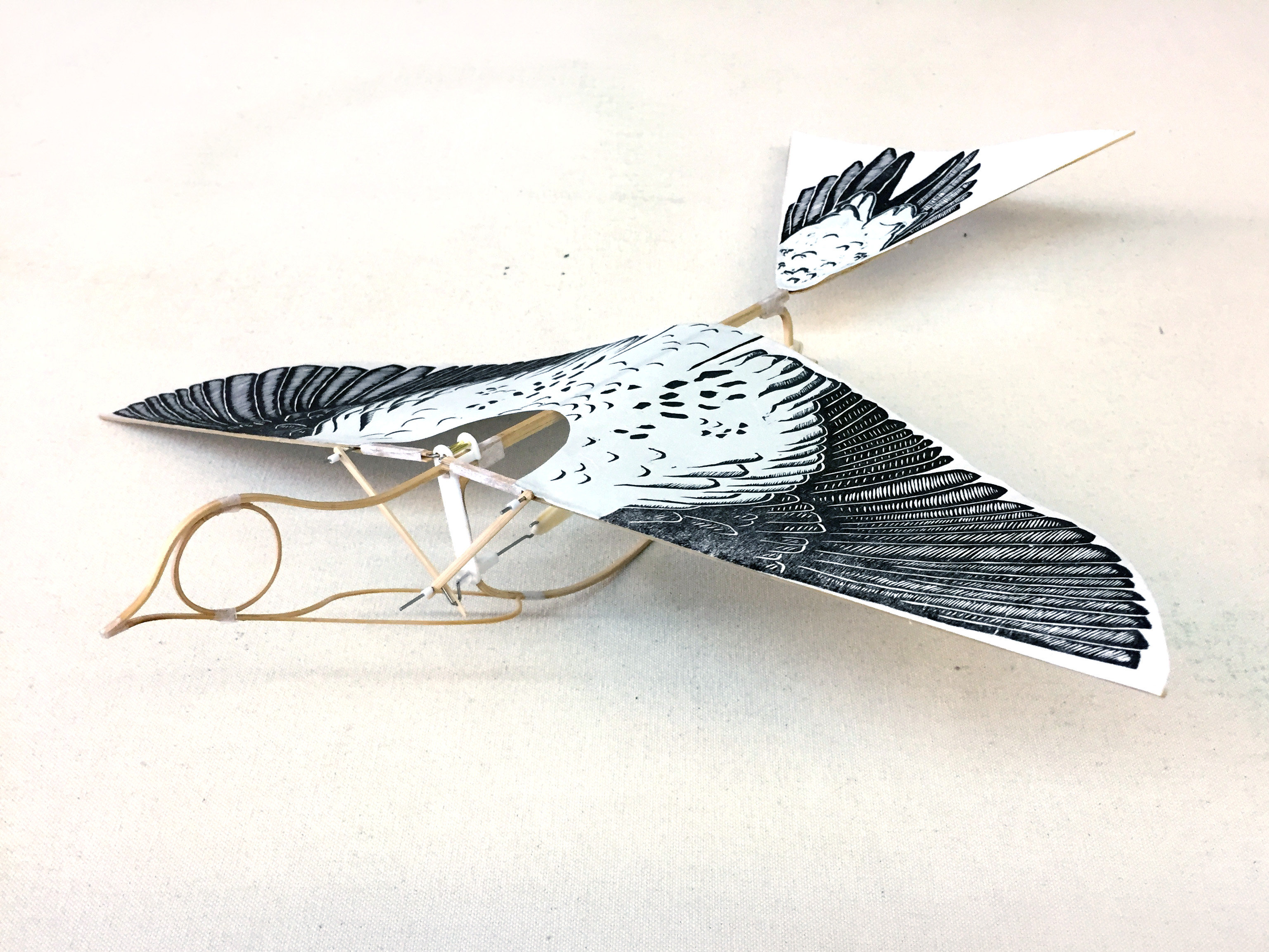 FlyingMartha_NicAnnetteMiller_03_small