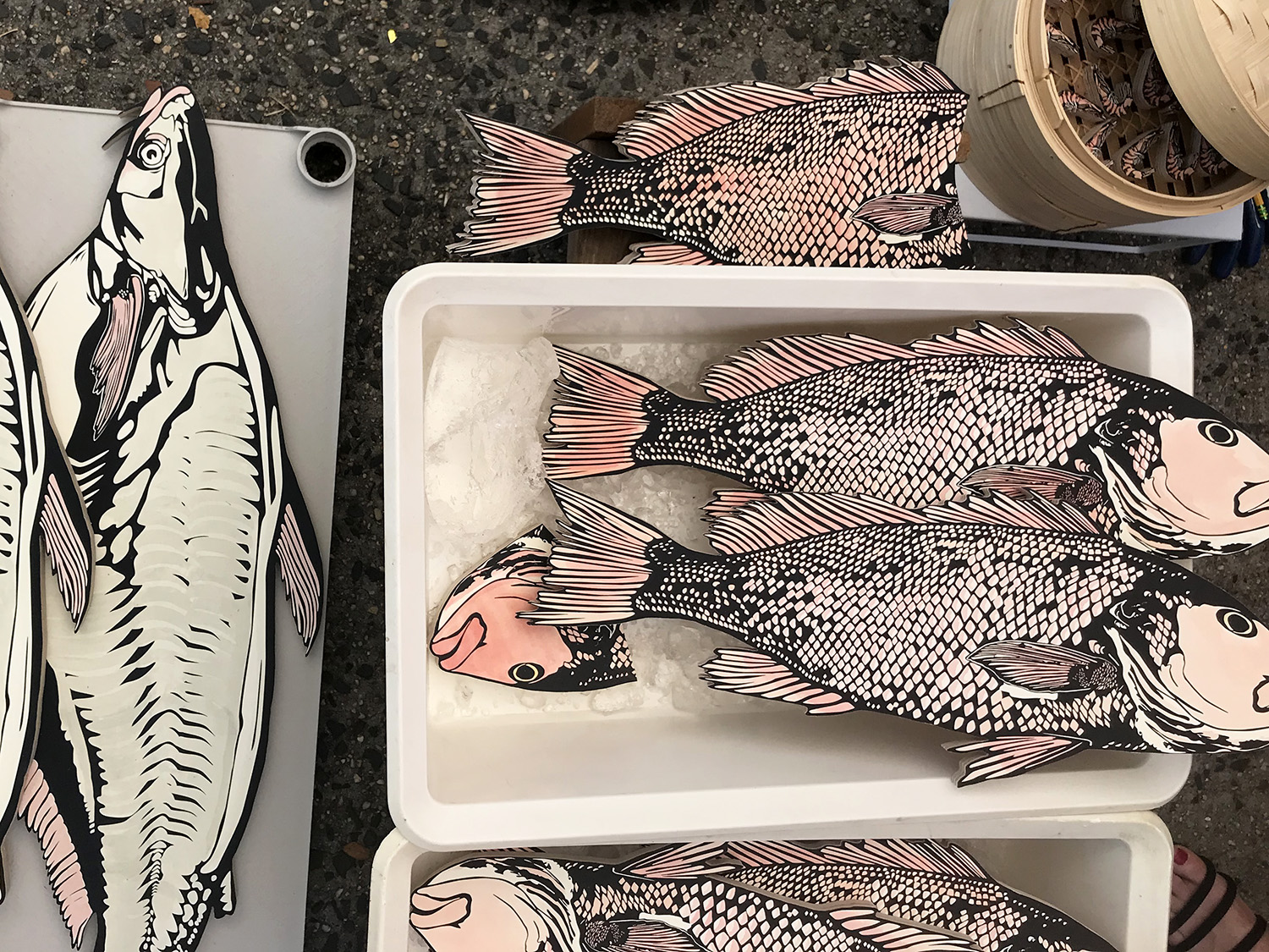 Miller_NicAnnette_Fishtallation_Vietnam_web_03