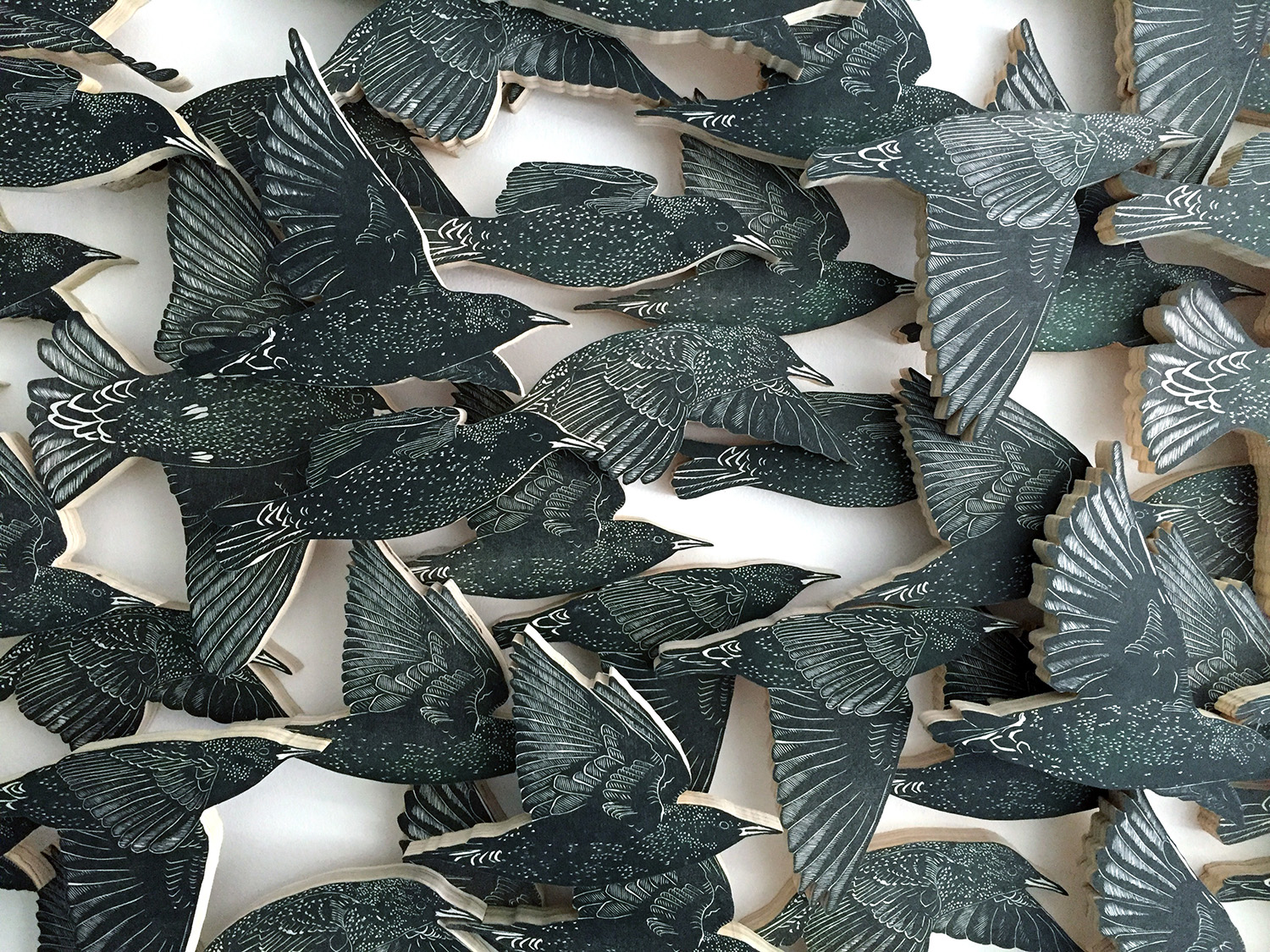 Miller_NicAnnette_Murmuration_02_web